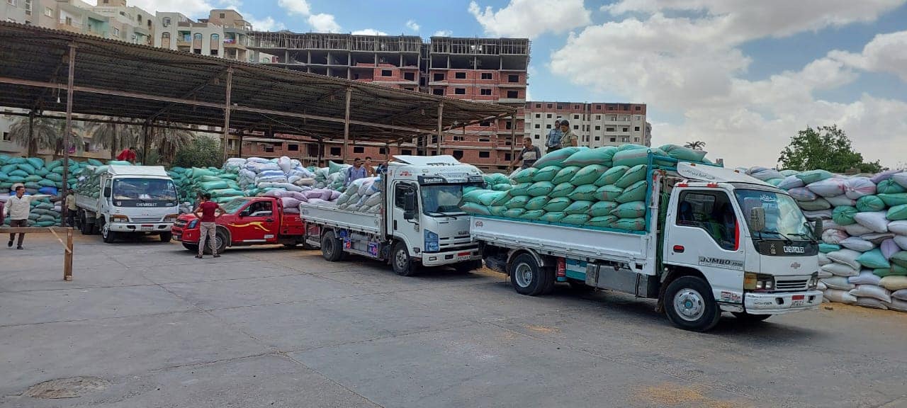 Egypt receives 1.8M tons of wheat from local farmers since April 13th 
